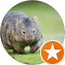 Profilbild von „Heiner Wolle“